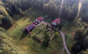 Pokoje w lesie